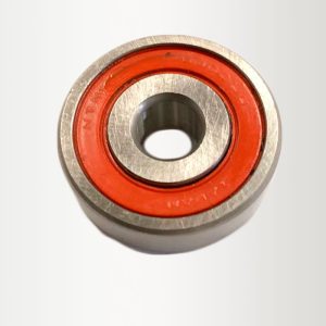 ROLINERA ALT (6300-2RS)